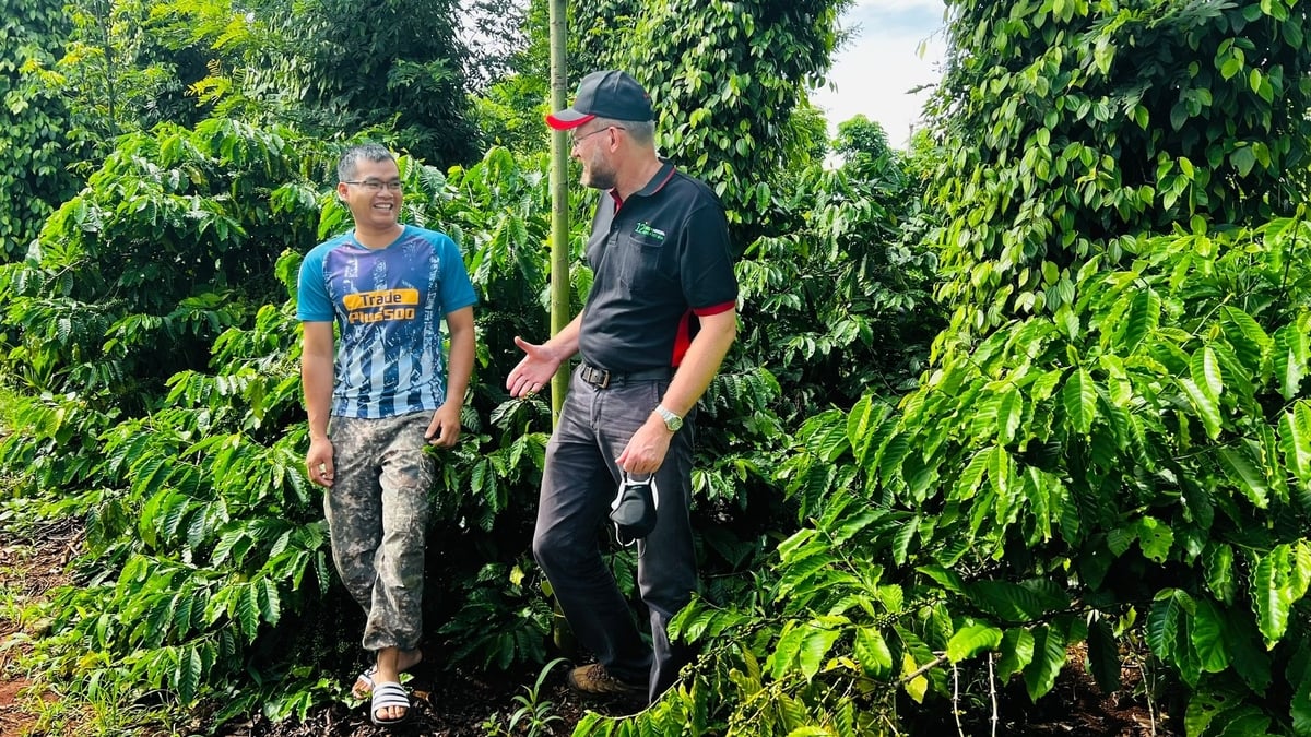 Chương trình Agripreneurship-Nescafé Plan không những giúp cải thiện sinh kế mà còn giúp trang bị những kiến thức khoa học về canh tác cà phê bền vững cho nông dân, đặc biệt là những người trẻ. Ảnh: Nestlé. Chương trình Agripreneurship-Nescafé Plan không những giúp cải thiện sinh kế mà còn giúp trang bị những kiến thức khoa học về canh tác cà phê bền vững cho nông dân, đặc biệt là những người trẻ. Ảnh: Nestlé.