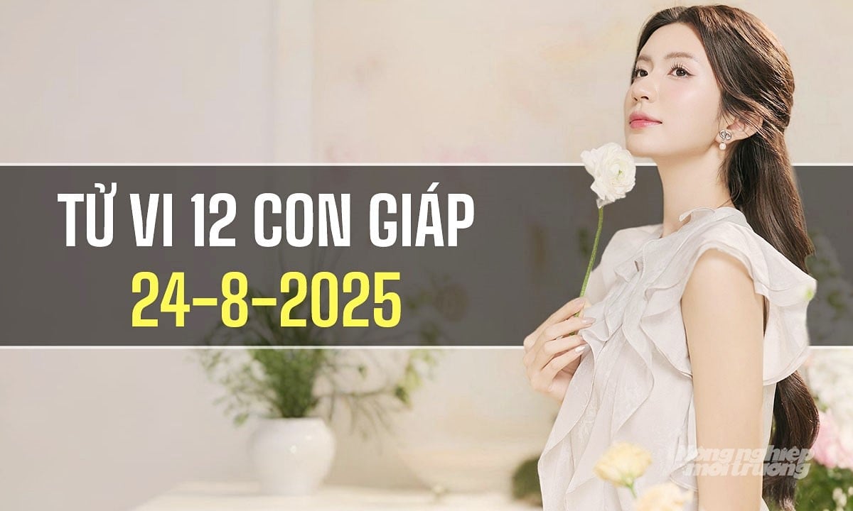 Xem tử vi hàng ngày 12 con giáp hôm nay 24/8/2025 Xem tử vi hàng ngày 12 con giáp hôm nay 24/8/2025