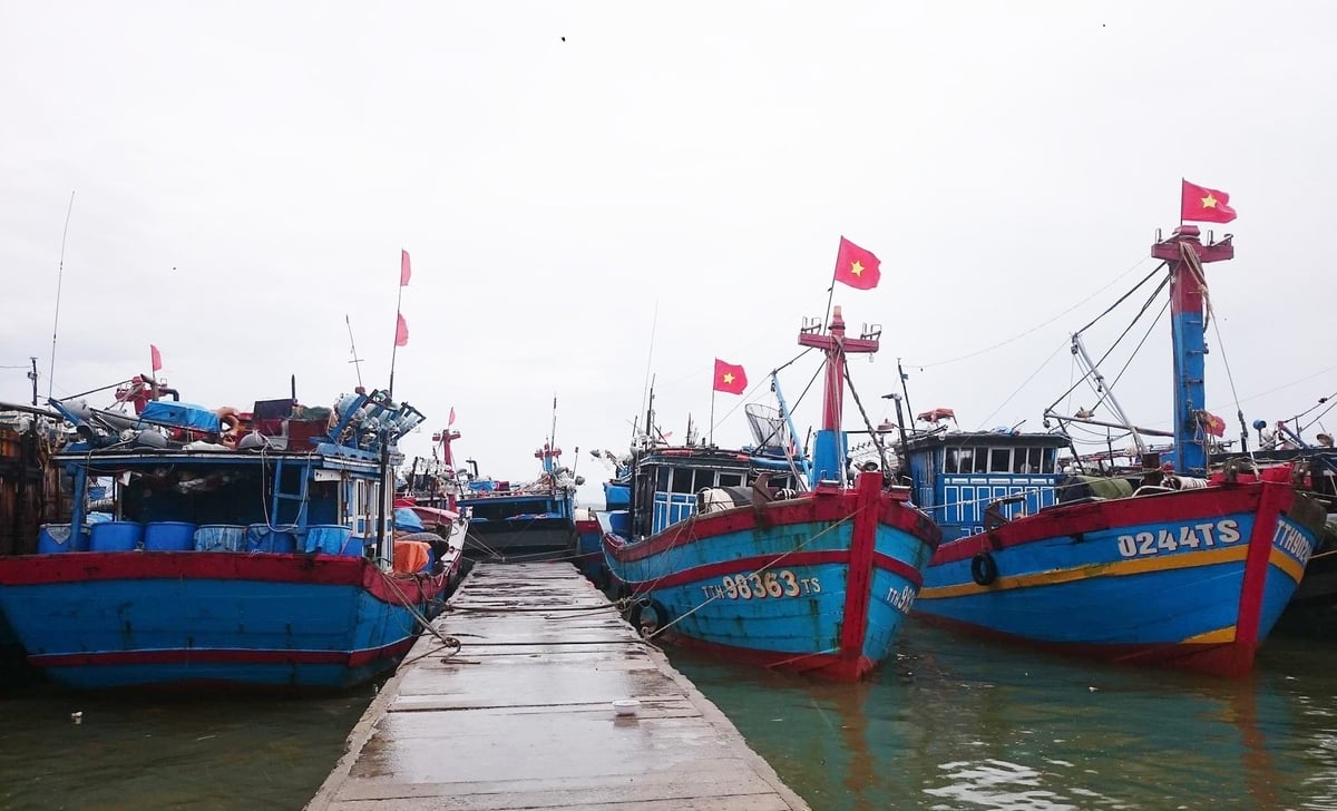 Tàu thuyền ở TP Huế đã vào bờ an toàn để tránh bão số 5. Ảnh: Văn Dinh. Tàu thuyền ở TP Huế đã vào bờ an toàn để tránh bão số 5. Ảnh: Văn Dinh.