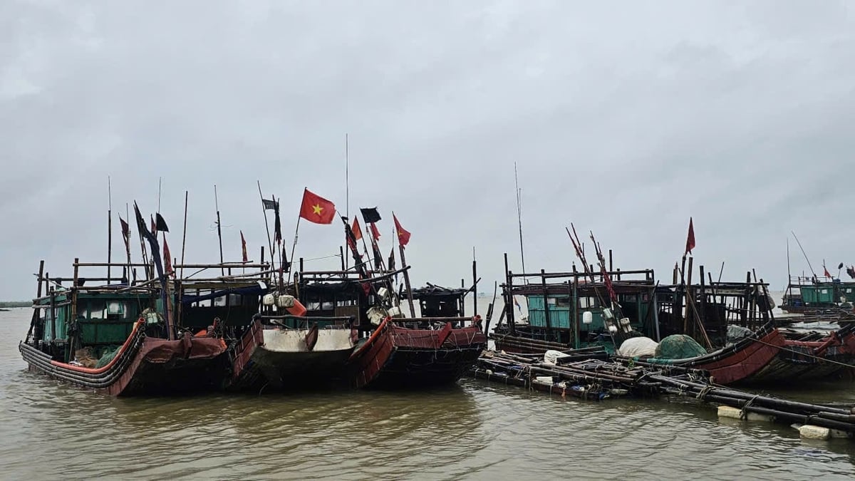 Nhiều phương tiện đánh bắt thủy sản tại Thanh Hóa đã cập bến an toàn. Ảnh: Quốc Toản. Nhiều phương tiện đánh bắt thủy sản tại Thanh Hóa đã cập bến an toàn. Ảnh: Quốc Toản.
