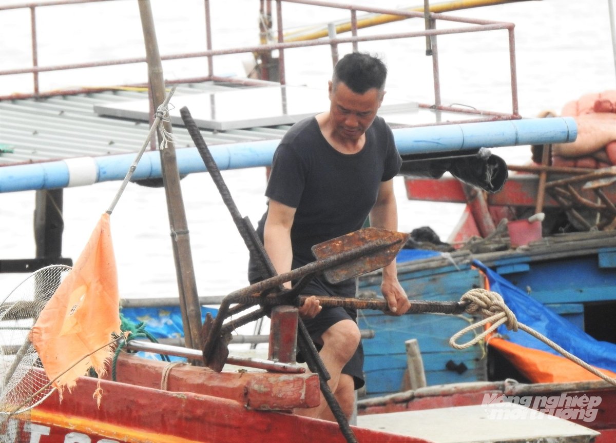 Đến 5h sáng 24/8, tổng số tàu thuyền đang neo đậu tại các bến bãi, không ra khơi là 3.984 phương tiện/10.854 lao động. Đến 5h sáng 24/8, tổng số tàu thuyền đang neo đậu tại các bến bãi, không ra khơi là 3.984 phương tiện/10.854 lao động.