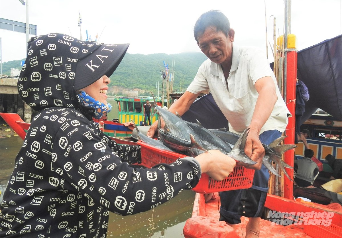 'Tàu chúng tôi ra khơi 5 ngày trước. Theo lịch thì 2 ngày nữa mới vào bờ nhưng nghe tin bão nên phải cập bến sớm để đảm bảo an toàn. Rất may trúng mẻ cá nên tôi cùng 6 thuyền viên vẫn thu được khoảng 100 triệu', anh Hiếu nói. 'Tàu chúng tôi ra khơi 5 ngày trước. Theo lịch thì 2 ngày nữa mới vào bờ nhưng nghe tin bão nên phải cập bến sớm để đảm bảo an toàn. Rất may trúng mẻ cá nên tôi cùng 6 thuyền viên vẫn thu được khoảng 100 triệu', anh Hiếu nói.