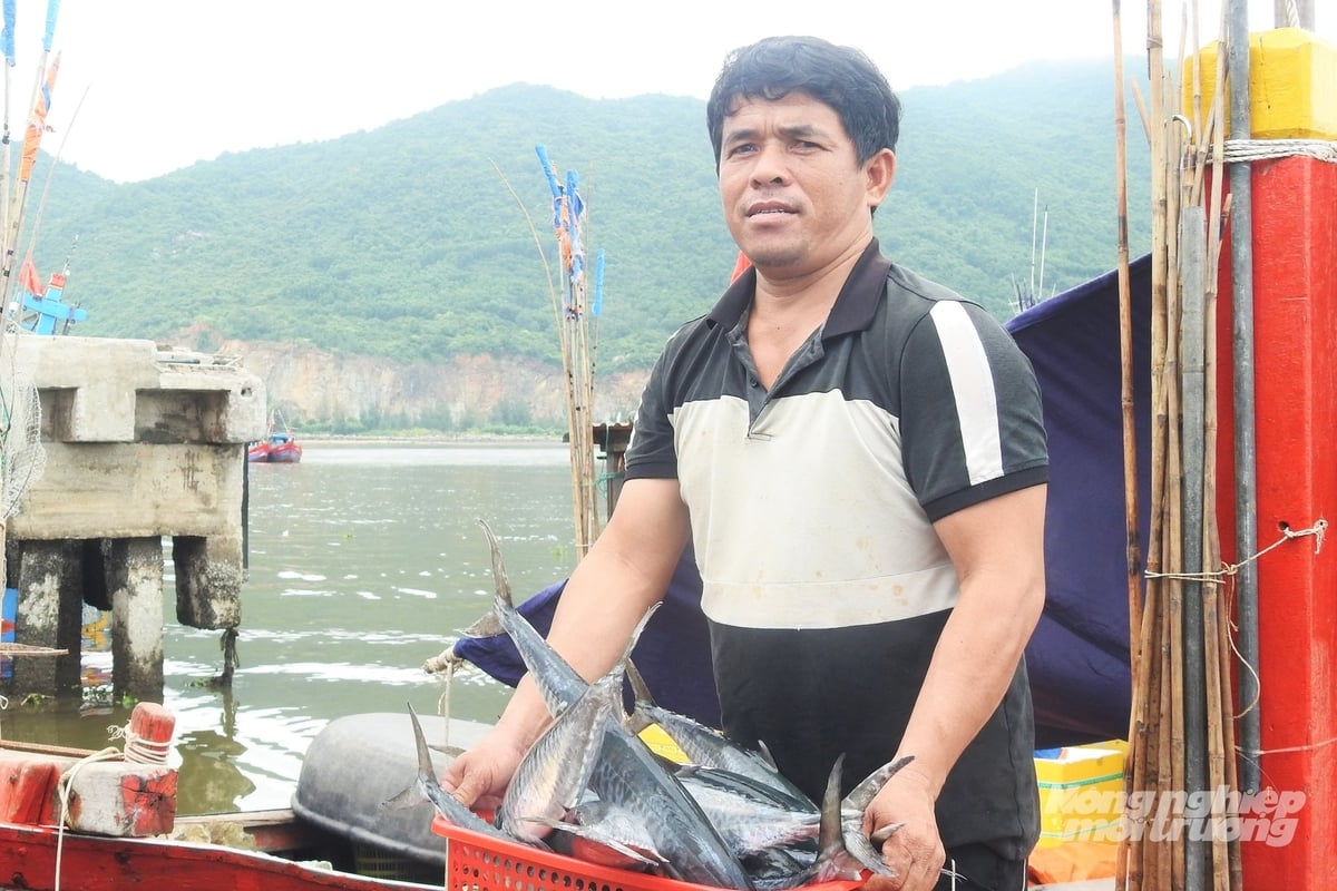 Tàu cá của anh Ngô Văn Hiếu, trú xã Lộc Hà khi đang đánh bắt gần đảo Bạch Long Vĩ thì nhận được tin báo bão số 5. Tàu anh nhanh chóng thu lưới di chuyển về cảng Thạch Kim tránh trú. Tàu cá của anh Ngô Văn Hiếu, trú xã Lộc Hà khi đang đánh bắt gần đảo Bạch Long Vĩ thì nhận được tin báo bão số 5. Tàu anh nhanh chóng thu lưới di chuyển về cảng Thạch Kim tránh trú.