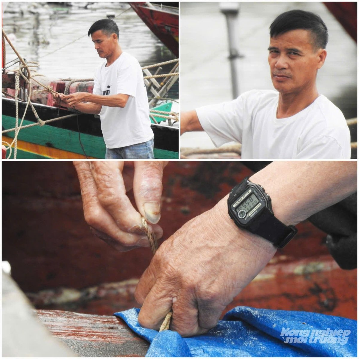 Tổng số phương tiện đang hoạt động trên biển 41 chiếc/140 lao động. Toàn bộ số phương tiện đã nhận được liên lạc và nắm được hướng đi của bão số 5. Tổng số phương tiện đang hoạt động trên biển 41 chiếc/140 lao động. Toàn bộ số phương tiện đã nhận được liên lạc và nắm được hướng đi của bão số 5.