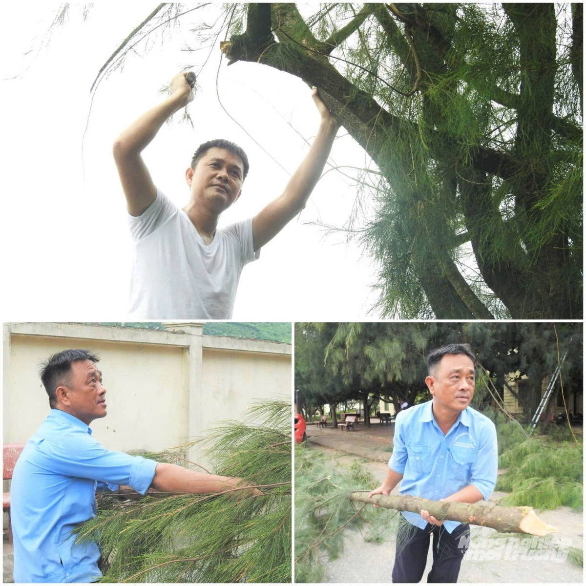 Cán bộ BQL các cảng cá Hà Tĩnh gấp rút phát dọn cành cây trước khi bão vào bờ. Cán bộ BQL các cảng cá Hà Tĩnh gấp rút phát dọn cành cây trước khi bão vào bờ.