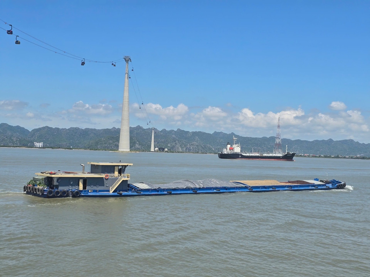 Các hoạt động vận tải khách bằng phà (tuyến Đồng Bài - Cái Viềng), cáp treo (Cát Hải - Phù Long) được lệnh dừng hoạt động từ 15h ngày 24/8/2025 để đề phòng bão số 5. Ảnh: Đinh Mười. Các hoạt động vận tải khách bằng phà (tuyến Đồng Bài - Cái Viềng), cáp treo (Cát Hải - Phù Long) được lệnh dừng hoạt động từ 15h ngày 24/8/2025 để đề phòng bão số 5. Ảnh: Đinh Mười.