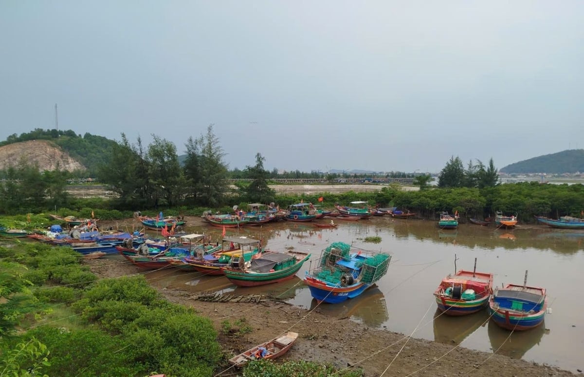 Các tàu thuyền được đưa vào bờ an toàn. Ảnh: Phạm Tuân. Các tàu thuyền được đưa vào bờ an toàn. Ảnh: Phạm Tuân.