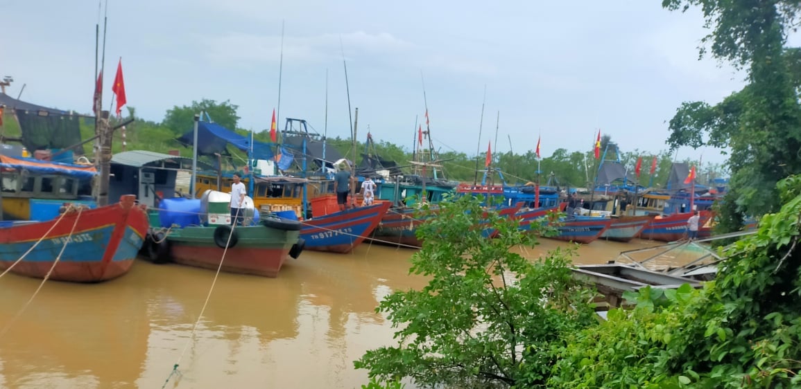 Các phương tiện khai thác thủy sản neo đậu san sát tại cảng Lạch Hới. Các phương tiện khai thác thủy sản neo đậu san sát tại cảng Lạch Hới.