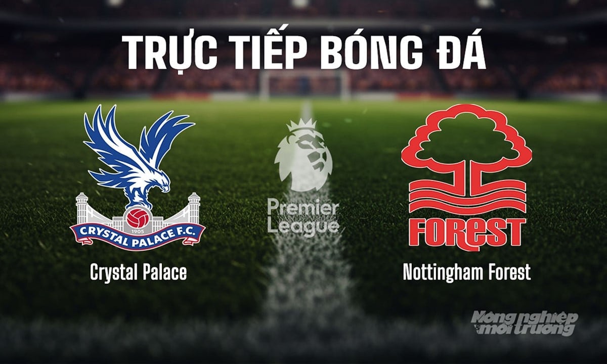 Trực tiếp bóng đá Ngoại hạng Anh giữa Crystal Palace vs Nottingham Forest hôm nay 24/8/2025 Trực tiếp bóng đá Ngoại hạng Anh giữa Crystal Palace vs Nottingham Forest hôm nay 24/8/2025