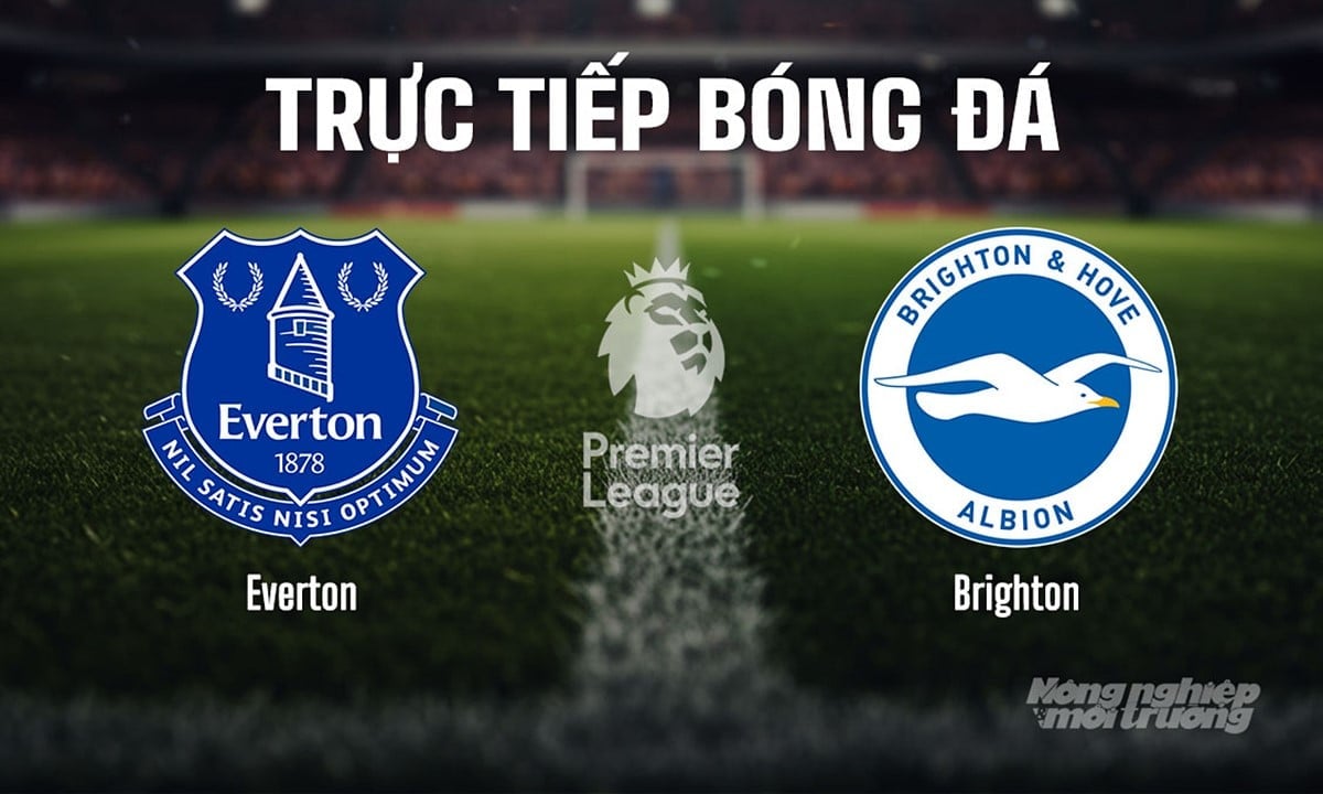 Trực tiếp bóng đá Ngoại hạng Anh giữa Everton vs Brighton hôm nay 24/8/2025 Trực tiếp bóng đá Ngoại hạng Anh giữa Everton vs Brighton hôm nay 24/8/2025