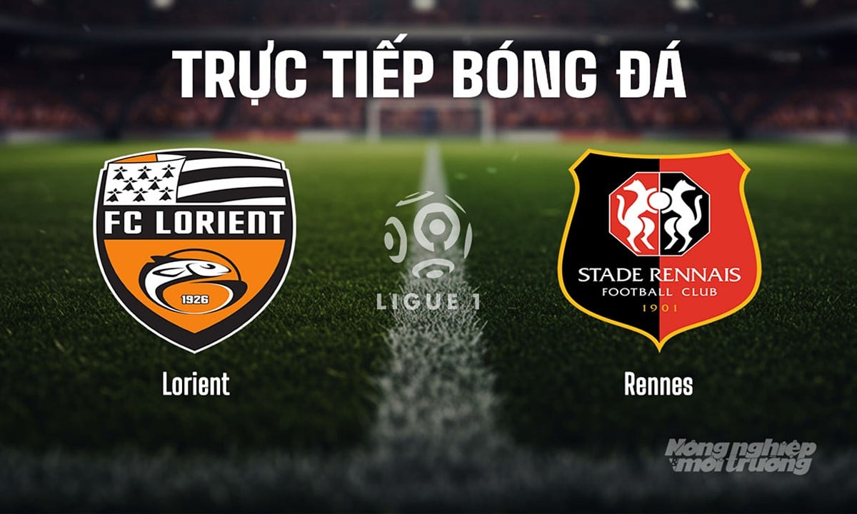 Trực tiếp bóng đá Ligue 1 (VĐQG Pháp) 2025/26 giữa Lorient vs Rennes hôm nay 24/8/2025