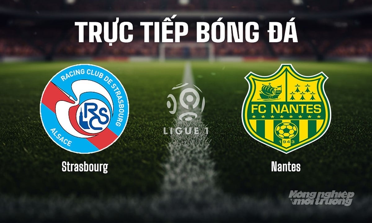 Trực tiếp bóng đá Ligue 1 (VĐQG Pháp) 2025/26 giữa Strasbourg vs Nantes hôm nay 24/8/2025 Trực tiếp bóng đá Ligue 1 (VĐQG Pháp) 2025/26 giữa Strasbourg vs Nantes hôm nay 24/8/2025