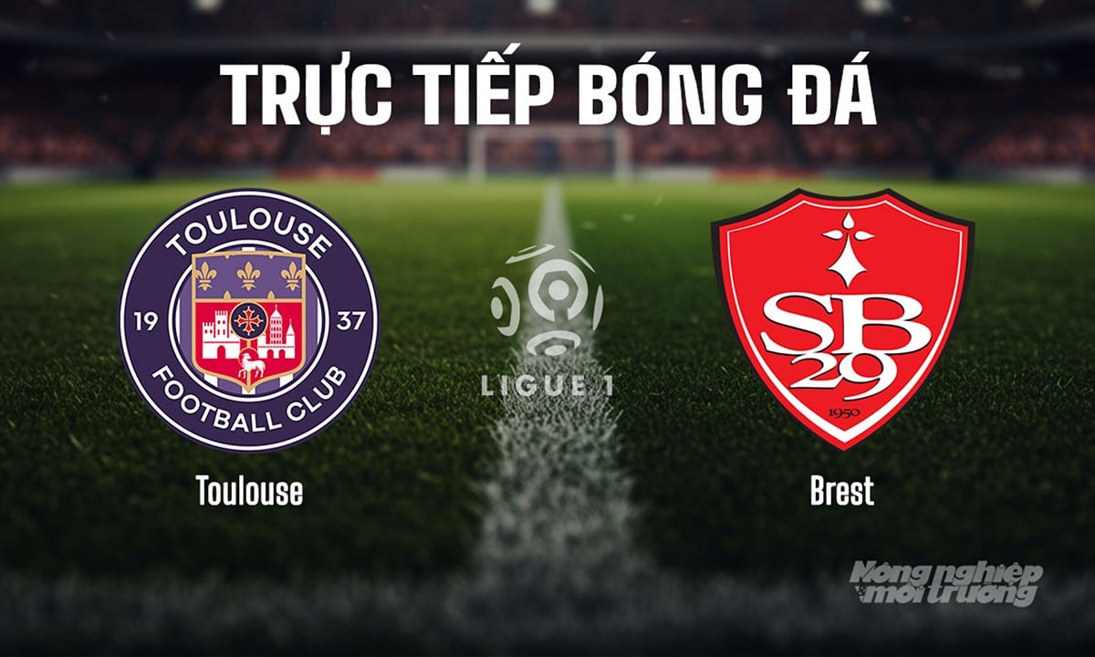 Trực tiếp bóng đá Ligue 1 (VĐQG Pháp) 2025/26 giữa Toulouse vs Brest hôm nay 24/8/2025 Trực tiếp bóng đá Ligue 1 (VĐQG Pháp) 2025/26 giữa Toulouse vs Brest hôm nay 24/8/2025
