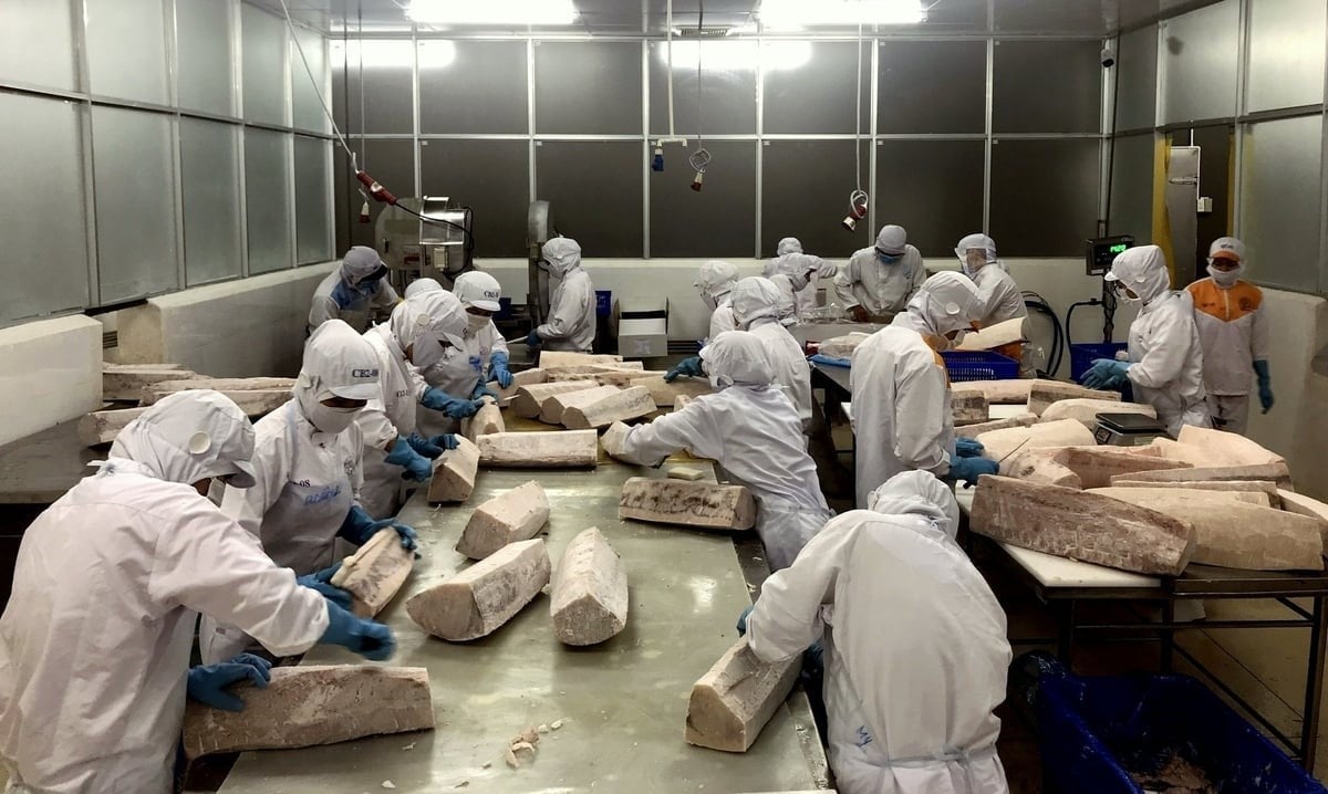 Workers process seafood for export markets. Photo: Kim So.
