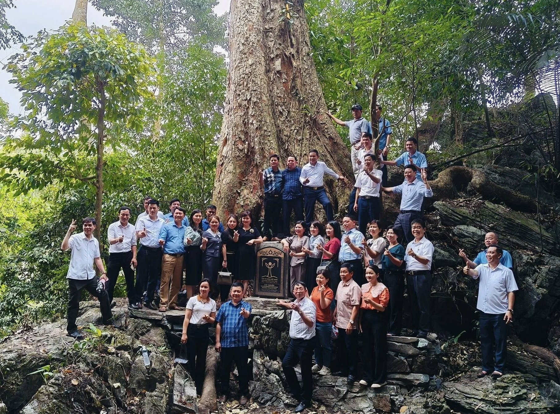 Du khách tham quan, trải nghiệm tại cây nghiến cổ thụ ở thôn Bản Bung, xã Nà Hang, tỉnh Tuyên Quang. Ảnh: Trung Kiên. Du khách tham quan, trải nghiệm tại cây nghiến cổ thụ ở thôn Bản Bung, xã Nà Hang, tỉnh Tuyên Quang. Ảnh: Trung Kiên.
