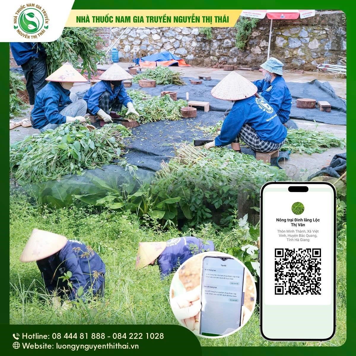 Nhập chú thích ảnh