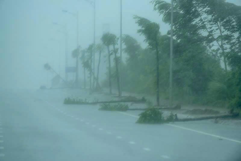 Nhập chú thích ảnh