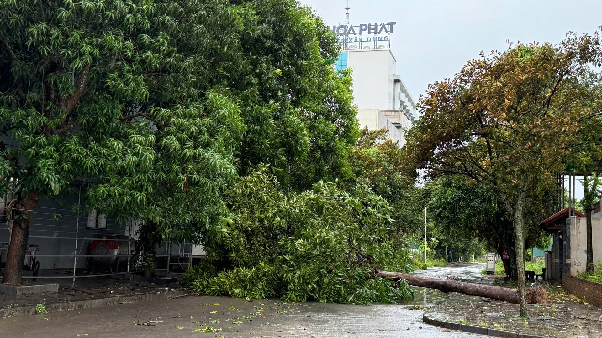 Nhập chú thích ảnh