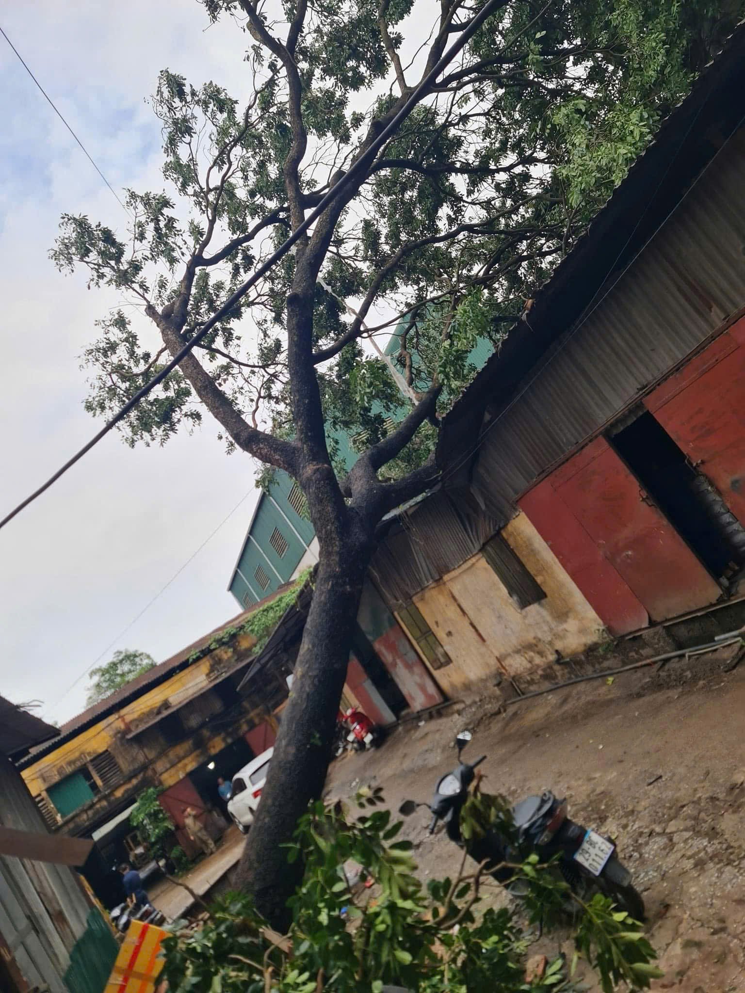 Nhập chú thích ảnh