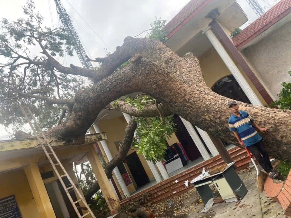 Nhập chú thích ảnh