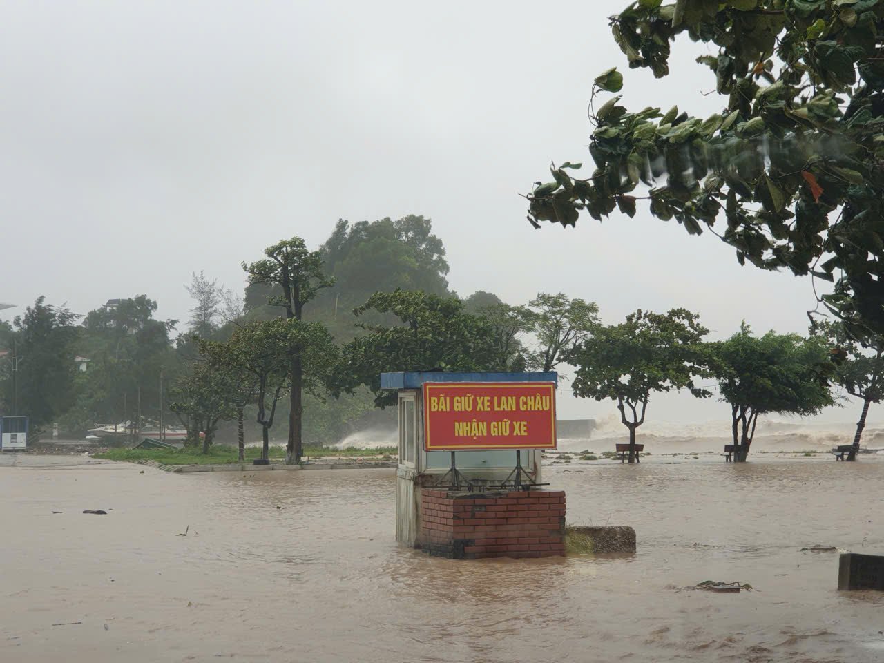 Nhập chú thích ảnh