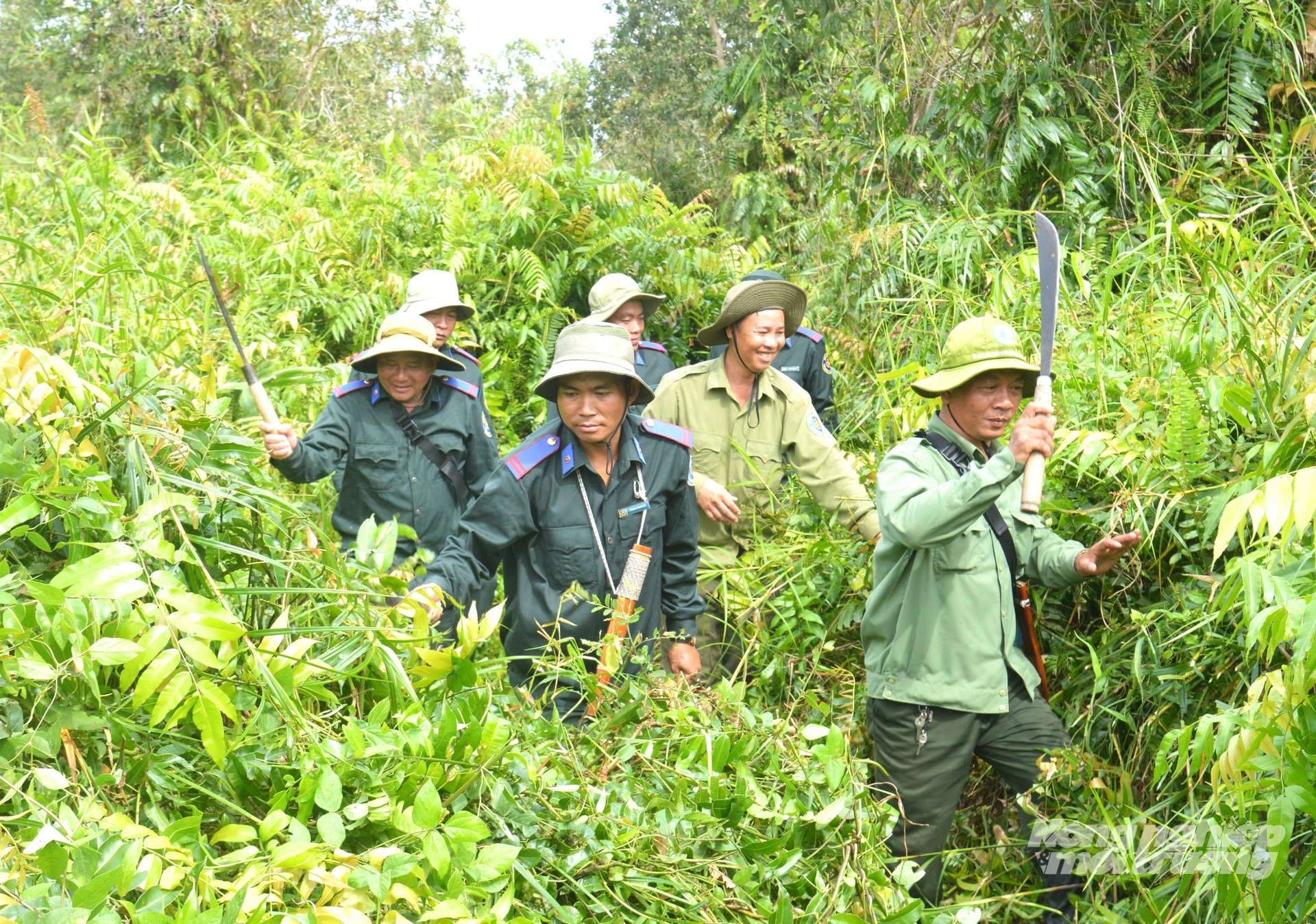Mùa mưa là thời điểm các loại dây leo phát triển mạnh, lực lượng chuyên trách bảo vệ rừng VQG U Minh Thượng phải thường xuyên phát dọn đường tuần tra, kiểm soát, chống các đối tượng xâm nhập vào rừng. Ảnh: Trung Chánh. Mùa mưa là thời điểm các loại dây leo phát triển mạnh, lực lượng chuyên trách bảo vệ rừng VQG U Minh Thượng phải thường xuyên phát dọn đường tuần tra, kiểm soát, chống các đối tượng xâm nhập vào rừng. Ảnh: Trung Chánh.