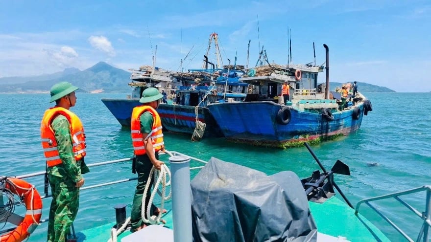 Dong Thap authorities support local fishermen to update their legal knowledge and improve their fishing efficiency. Photo: VOV.