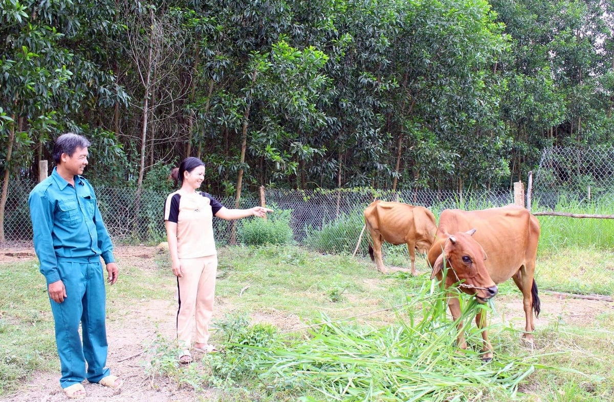 Nhờ các chính sách, bà con tăng gia sản xuất để vươn lên thoát nghèo. Ảnh: Kim Sơ.