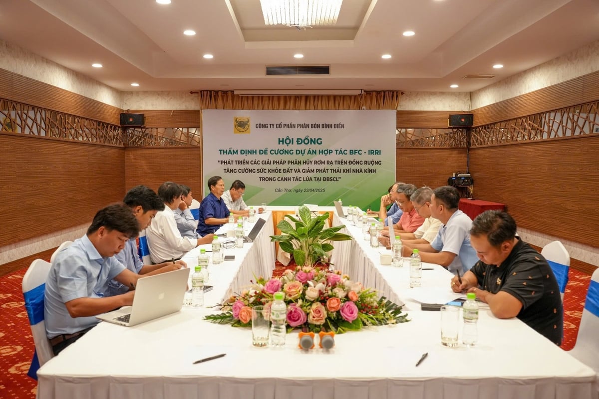 Bình Điền hợp tác với Viện Nghiên cứu Lúa gạo Quốc tế (IRRI) nghiên cứu vi sinh vật phân hủy rơm rạ trên đồng ruộng để tăng cường sức khỏe đất và giảm phát thải khí nhà kính. Ảnh: Ngọc Vân. Bình Điền hợp tác với Viện Nghiên cứu Lúa gạo Quốc tế (IRRI) nghiên cứu vi sinh vật phân hủy rơm rạ trên đồng ruộng để tăng cường sức khỏe đất và giảm phát thải khí nhà kính. Ảnh: Ngọc Vân.