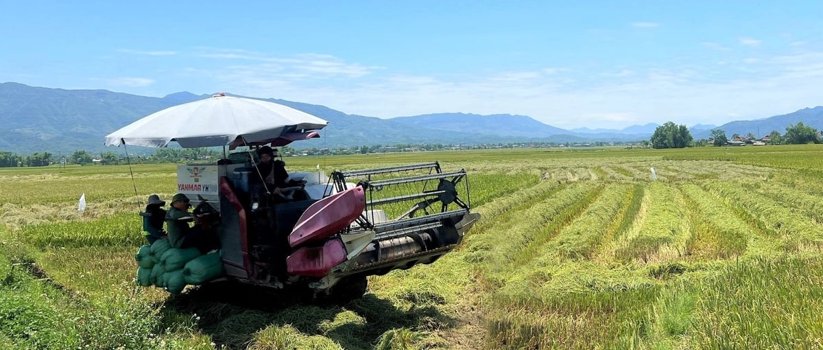 Nông dân ứng dụng máy nông nghiệp hiện đại vào sản xuất. Ảnh: Hoàng Châu. Nông dân ứng dụng máy nông nghiệp hiện đại vào sản xuất. Ảnh: Hoàng Châu.