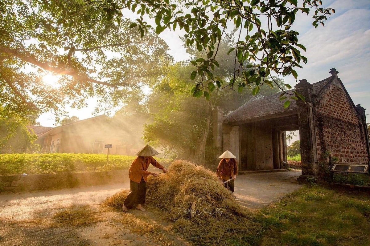 Dưới gốc đa làng. Ảnh: Xuân Thiều. Dưới gốc đa làng. Ảnh: Xuân Thiều.