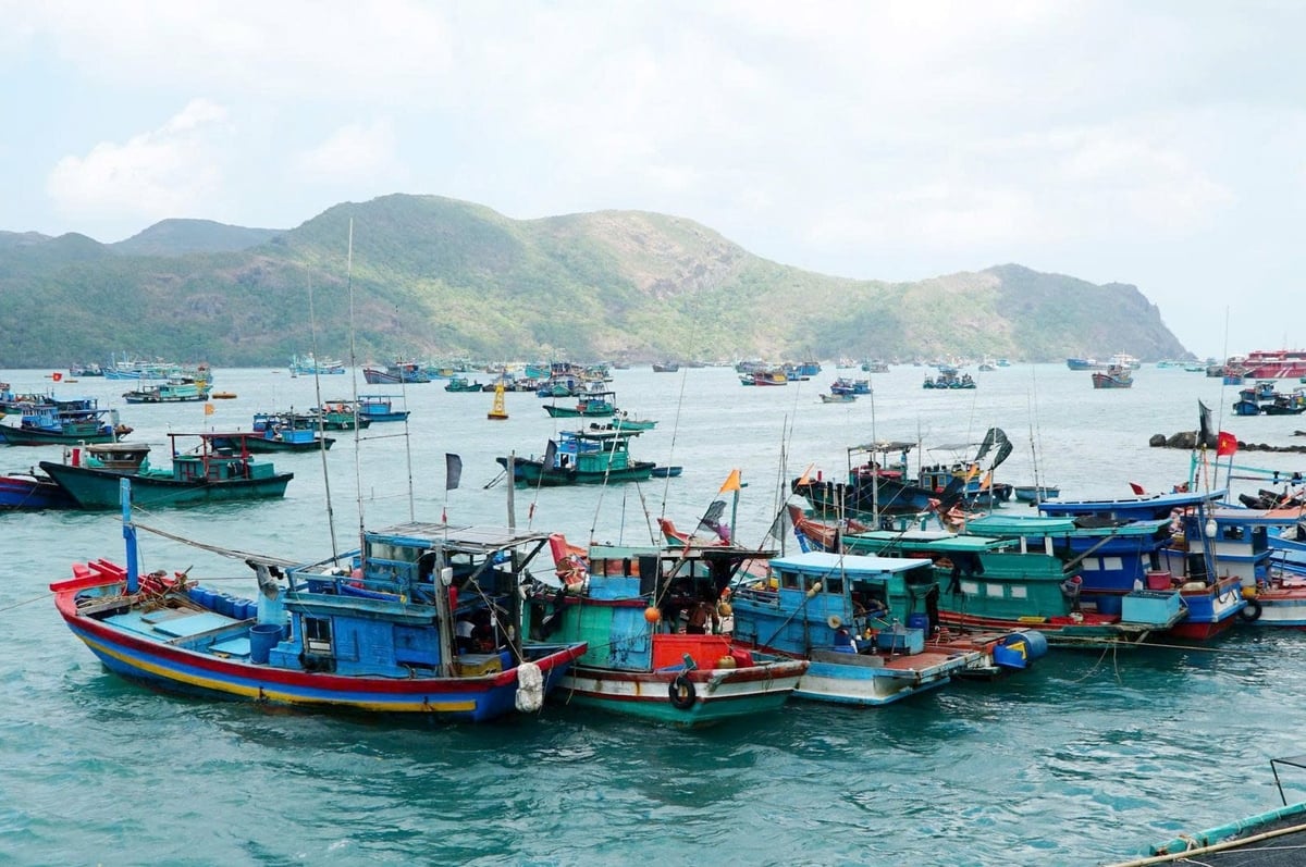 Đội tàu cá của Bà Rịa - Vũng Tàu cũ Ảnh: Lê Bình. Đội tàu cá của Bà Rịa - Vũng Tàu cũ Ảnh: Lê Bình.