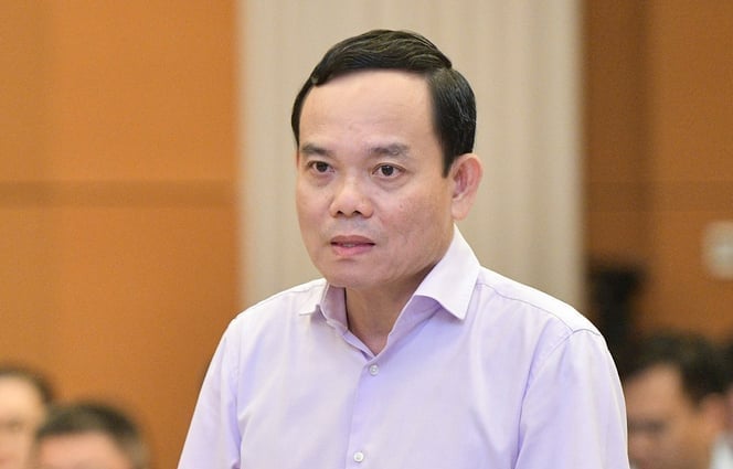 Ông Trần Lưu Quang, tân Bí thư Thành ủy TP.HCM. Ảnh: Tùng Đinh. Ông Trần Lưu Quang, tân Bí thư Thành ủy TP.HCM. Ảnh: Tùng Đinh.