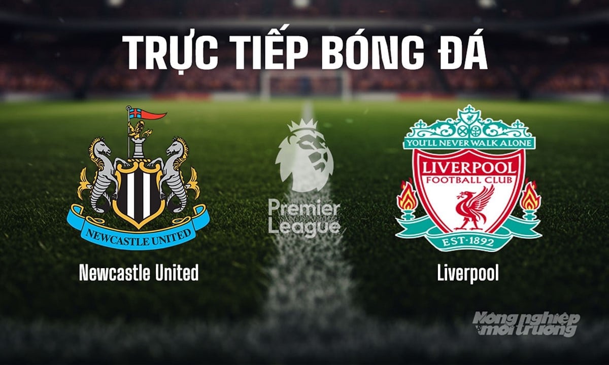 Trực tiếp bóng đá Ngoại hạng Anh giữa Newcastle United vs Liverpool ngày 26/8/2025 Trực tiếp bóng đá Ngoại hạng Anh giữa Newcastle United vs Liverpool ngày 26/8/2025