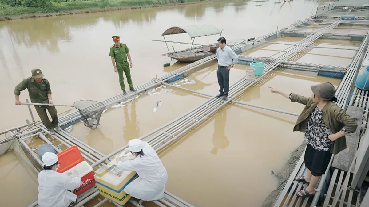 Người nuôi cá bức xúc vì chính quyền xử lý chậm. Ảnh CMH Người nuôi cá bức xúc vì chính quyền xử lý chậm. Ảnh CMH