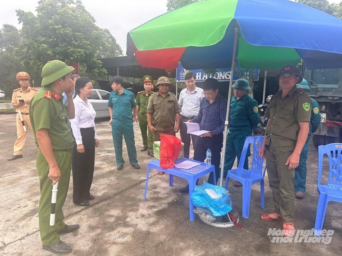 Các địa phương trong tỉnh Quảng Ninh đã lập chốt kiểm dịch để ngăn chặn việc vận chuyện lợn bệnh. Ảnh: Cường Vũ. Các địa phương trong tỉnh Quảng Ninh đã lập chốt kiểm dịch để ngăn chặn việc vận chuyện lợn bệnh. Ảnh: Cường Vũ.