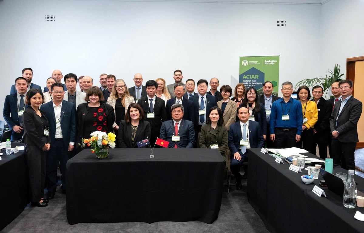 The Partnership Dialogue ‘Australia – Vietnam Cooperation in Agricultural Research’ was co-hosted by ACIAR and Ministry of Agriculture and Environment in Sydney on 22 August. Photo: Australian Embassy in Vietnam.
