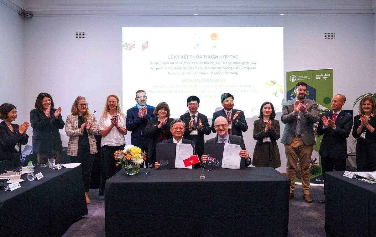 The new ACIAR-funded project will be implemented by Applied Horticultural Research (Australia) in collaboration with Fruit and Vegetable Research Institute, Northern Mountainous Agriculture and Forestry Science Institute, and Vietnam National University of Agriculture. Photo: Australian Embassy in Vietnam.