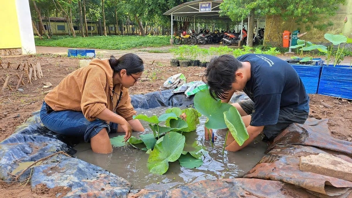 Sinh viên lắp đặt mô hình tại khoảng đất giữa tòa nhà C6 và C9 - Trường Đại học Trà Vinh. Ảnh: Minh Đảm. Sinh viên lắp đặt mô hình tại khoảng đất giữa tòa nhà C6 và C9 - Trường Đại học Trà Vinh. Ảnh: Minh Đảm.