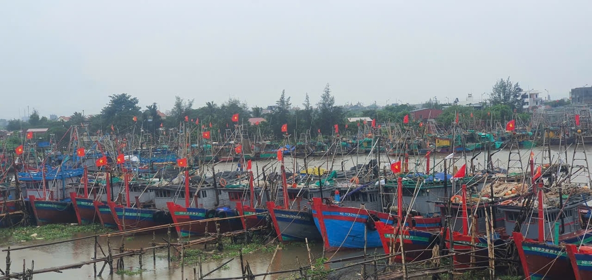 Toàn bộ 1.862 tàu/5726 lao động của tỉnh Ninh Bình đang ở nơi neo đậu an toàn. Ảnh: Xuân Hào. Toàn bộ 1.862 tàu/5726 lao động của tỉnh Ninh Bình đang ở nơi neo đậu an toàn. Ảnh: Xuân Hào.