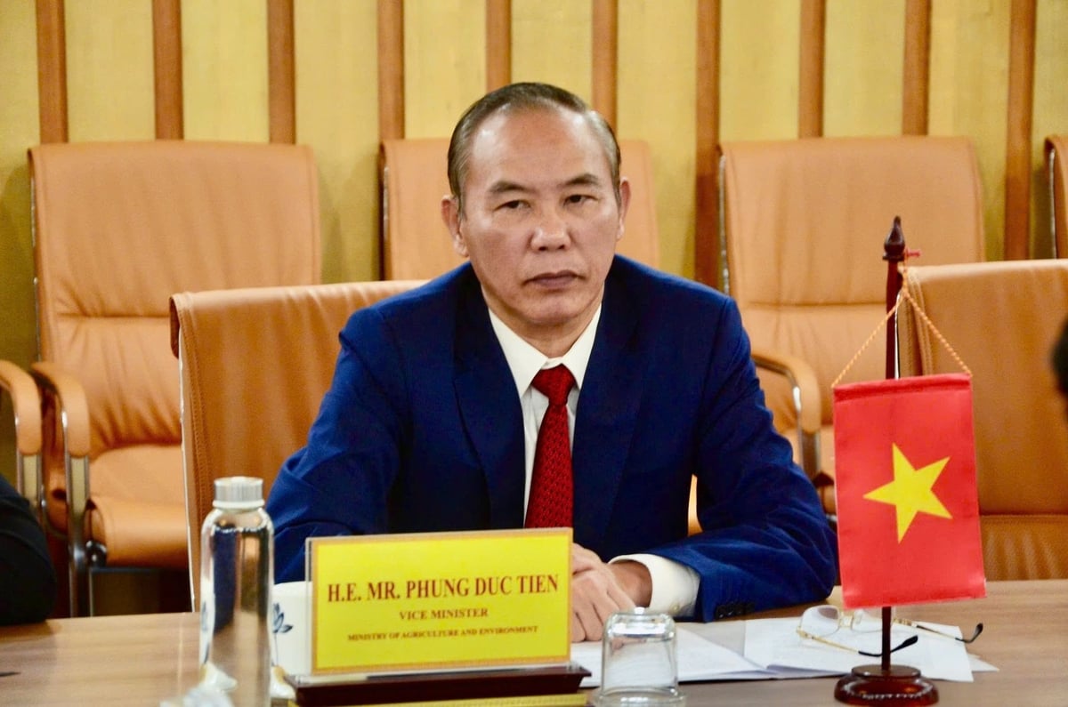 Thứ trưởng Bộ Nông nghiệp và Môi trường Phùng Đức Tiến tại buổi làm việc với đoàn Cuba, chiều 25/8. Ảnh: Hồng Ngọc.