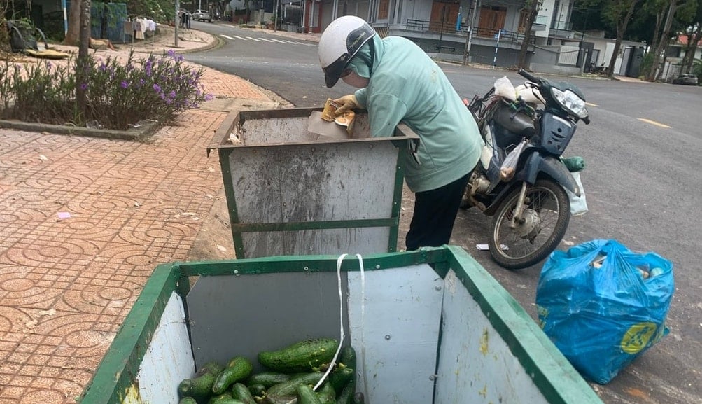 Theo lãnh đạo UBND tỉnh Lâm Đồng, việc phân loại rác tại nguồn không chỉ mang tính bắt buộc theo luật định, mà còn đem lại lợi ích kép về môi trường và kinh tế. Ảnh: Trần Thoan.
