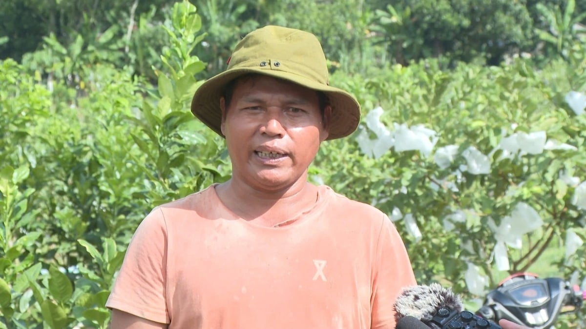 Anh Đinh Văn Thơ tiên phong áp dụng công nghệ cao trong sản xuất cây ăn quả ở miền núi Quảng Ngãi. Ảnh: Võ Hà.