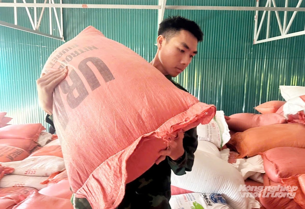 Lực lượng Bộ đội Biên phòng Lạch Kèn được huy động giúp gia đình di dời số lúa đang khô ráo đến nơi an toàn. 