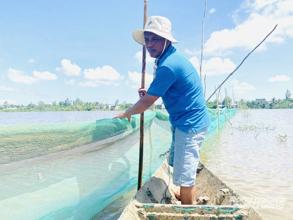 Thành viên Tổ nuôi trữ cá ấp Giồng Bàng, xã Thường Phước, tỉnh Đồng Tháp gia cố lưới bao quanh cánh đồng tràn đầy nước để bảo vệ cá mùa lũ. Ảnh: Lê Hoàng Vũ.