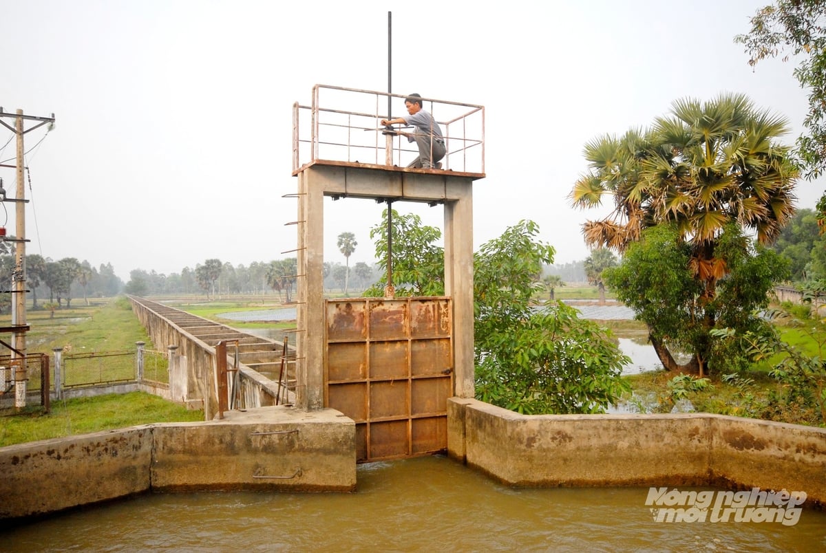Cán bộ vận hành cống điều tiết nước phục vụ sản xuất nông nghiệp tại An Giang. Ảnh: Lê Hoàng Vũ.