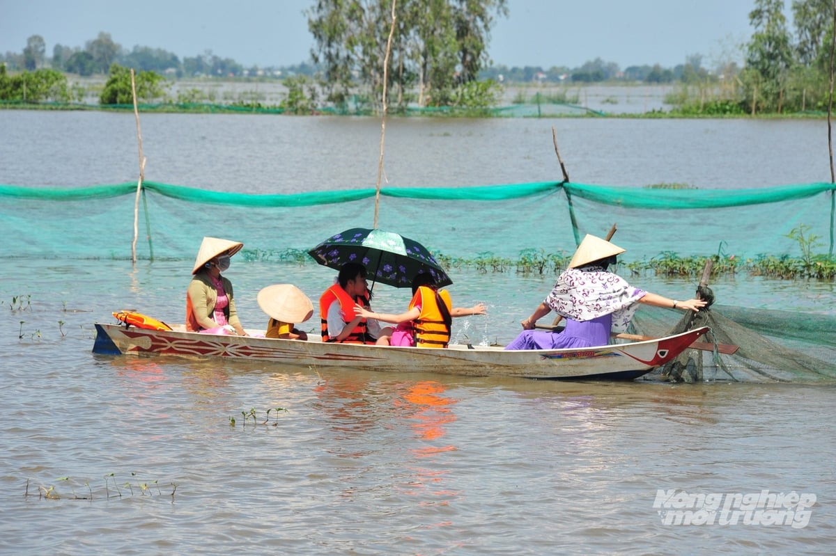 Hơn 2 năm nay HTX Quyết Tiến triển khai mô hình dịch vụ du lịch trải nghiệm trong mùa lũ rất hiệu quả. Ảnh: Lê Hoàng Vũ.
