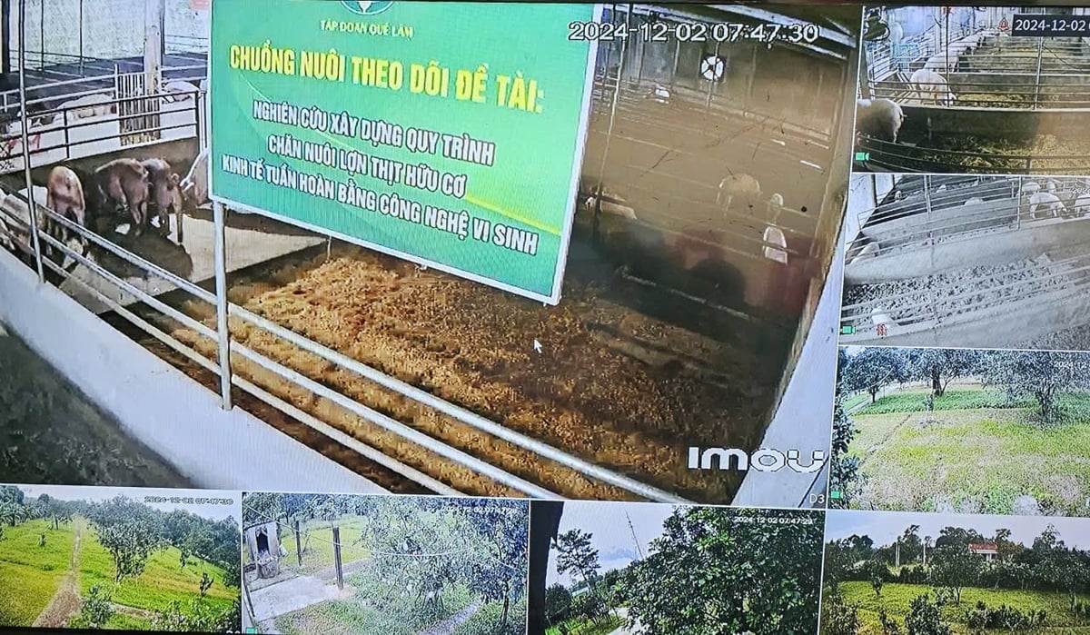 Quy trình nông nghiệp tuần hoàn. Ảnh: Bảo Khang.