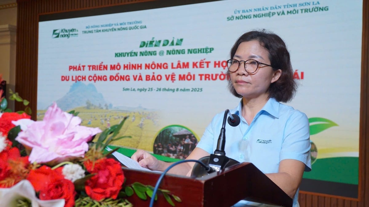 Bà Cầm Thị Phong khẳng định Sơn La chưa khai thác hết tiềm năng từ rừng. Ảnh: Nguyễn Nga. Bà Cầm Thị Phong khẳng định Sơn La chưa khai thác hết tiềm năng từ rừng. Ảnh: Nguyễn Nga.