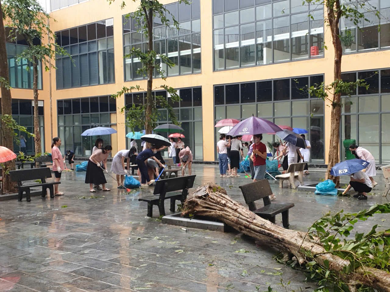 Nhập chú thích ảnh